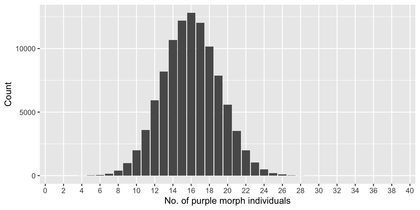 Distribution of number of purple morphs sampled (n = 40)